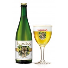 Lupulus Tripel Bier Geschenkverpakking 12 flesjes 75cl
