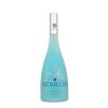 Hpnotiq Likeur 70cl Blauwe Tropische Likeur