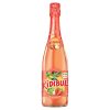 Kinderchampagne Appel Aardbei Feest Bubbels Fles 75cl